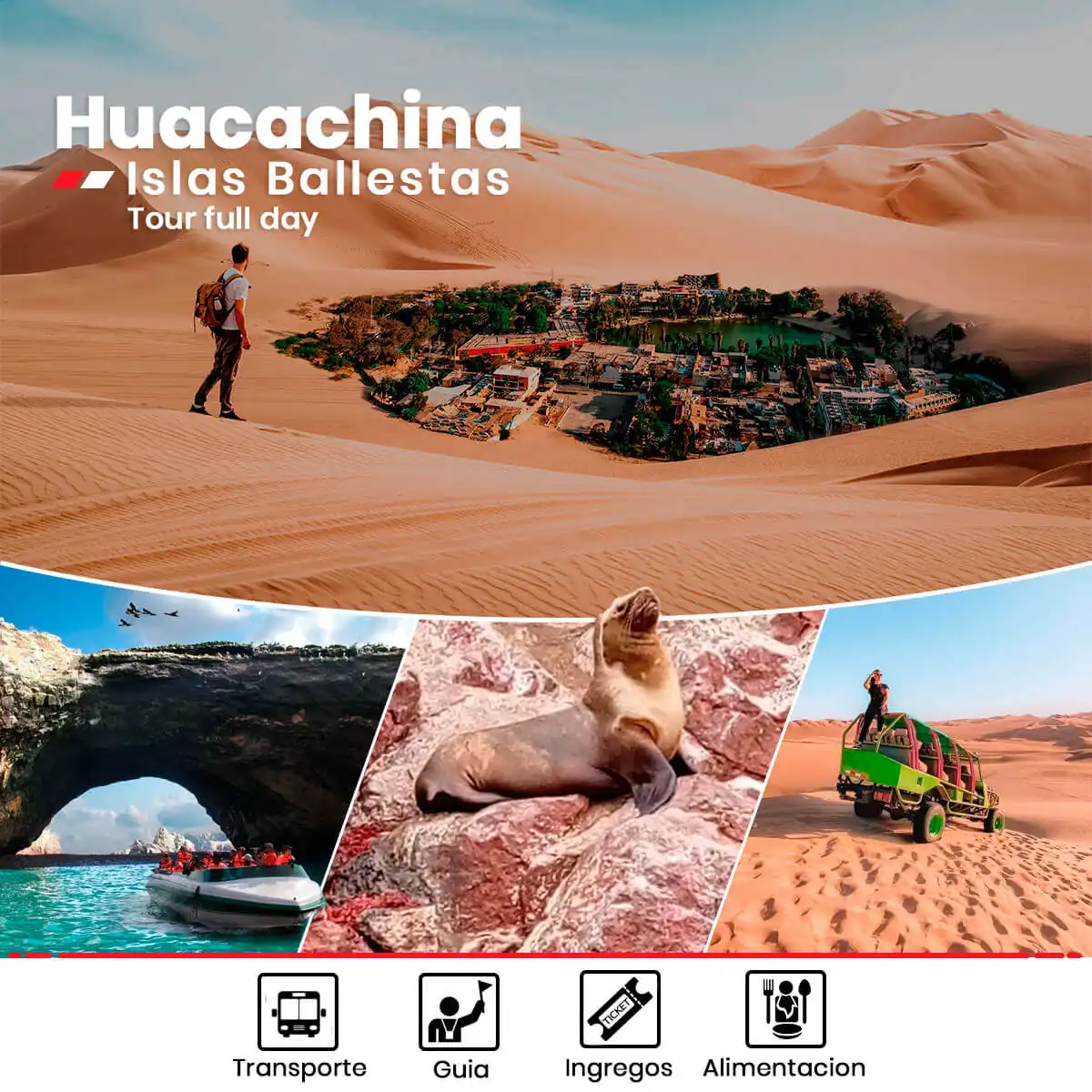 Tour Full day Paracas Ica Huacachina wa.me/51964265060